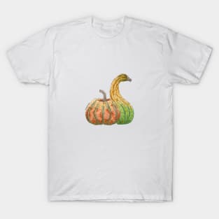 Pumpkins T-Shirt